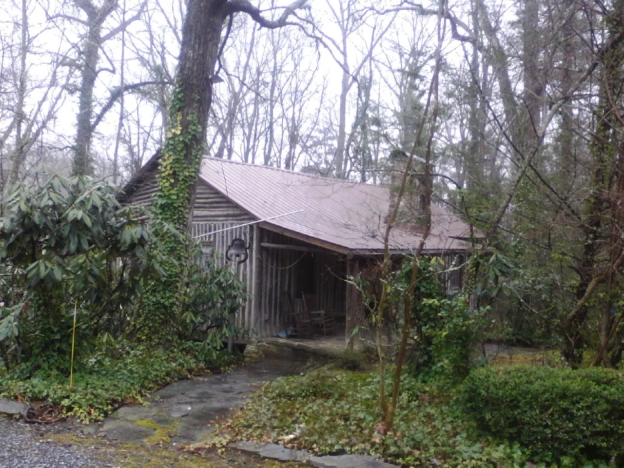 Weathered metal roof on an old board sided cabin in the woods in Kenton